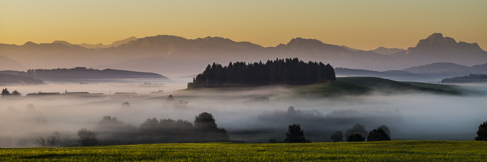 Platz 6 Michael Mayer